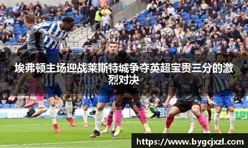 埃弗顿主场迎战莱斯特城争夺英超宝贵三分的激烈对决